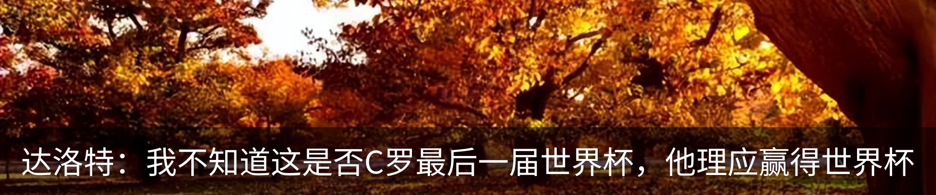 内页banner